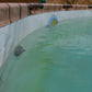 Maik3D Zulauf-Aufsatz kompatibel mit Intex & Bestway Pools – 90°