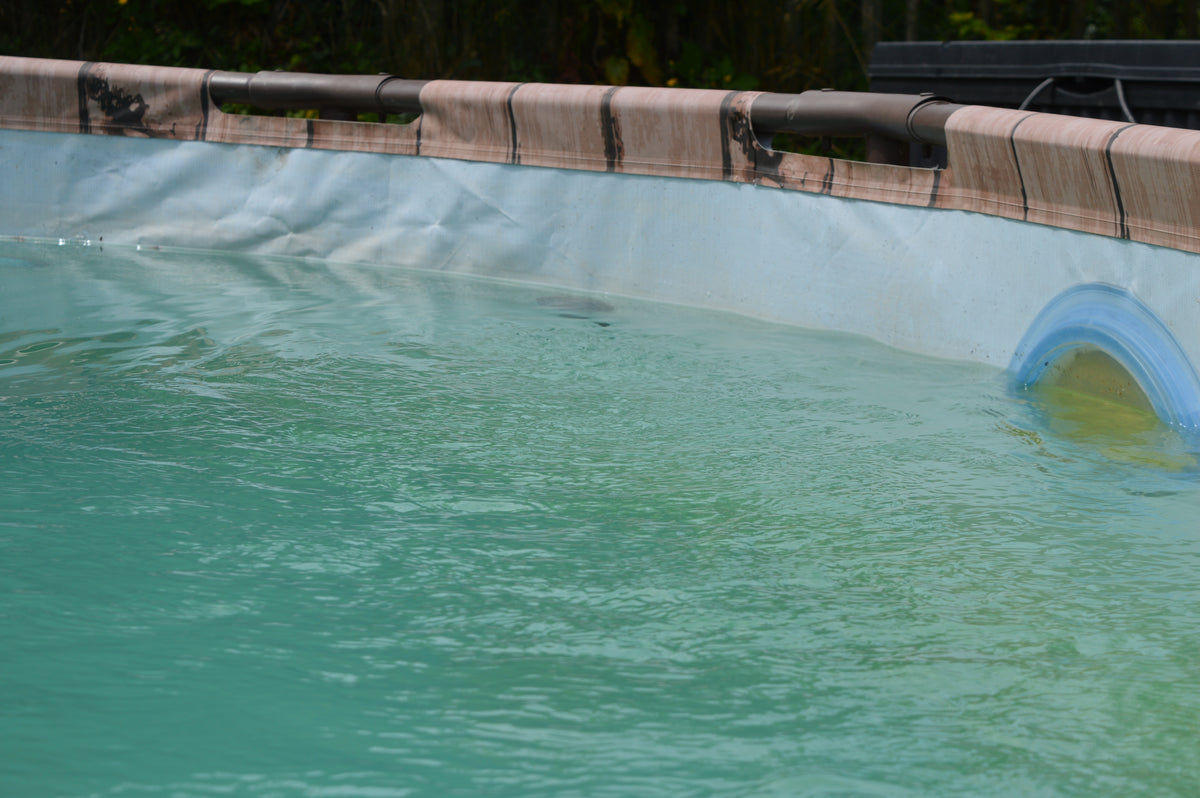 Maik3D Zulauf-Aufsatz kompatibel mit Intex & Bestway Pools – 90° Umleitung