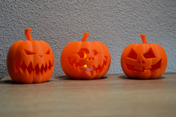 Halloween Kürbis-Bundle