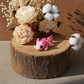Maik3D Flexi Axolotl kaufen - Bewegliches Fidget Toy